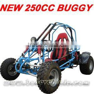 250CC EPA BUGGY GO KART
