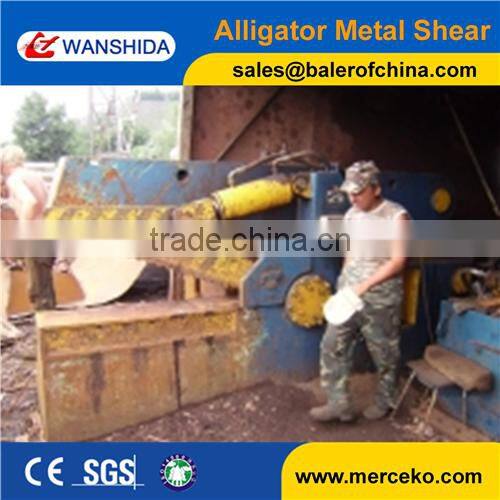 Q43-3150 Hydraulic Metal Shear Container scrap shear