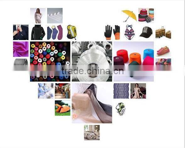 Sample free AA grade Nylon 6 FDY 40D/34F FD/SD PA6 for knitting