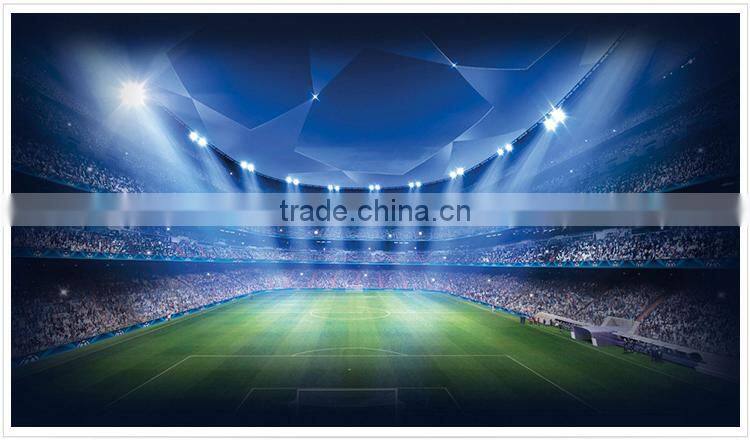 TOPTREE round 50WHigh Power outdoor LED FLOOD LIGHT