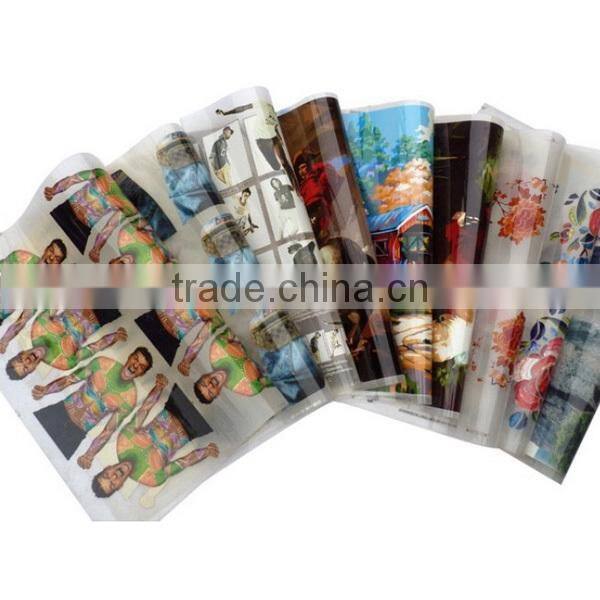 Custom plastisol heat transfer for T-shirt Heat Transfer Printing Method and Garment Usage