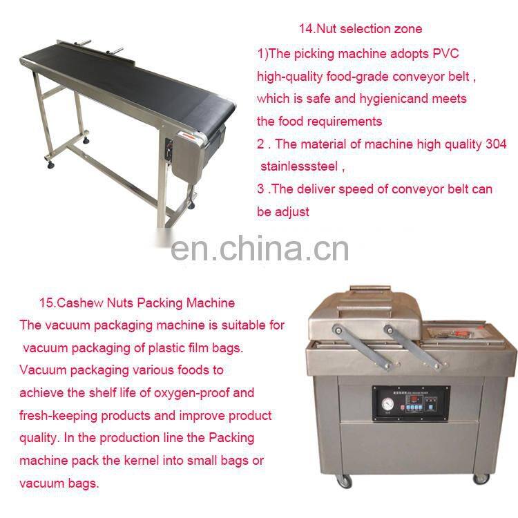 Low Price Cashew washing Cleaning machine cashew Drying Machine price