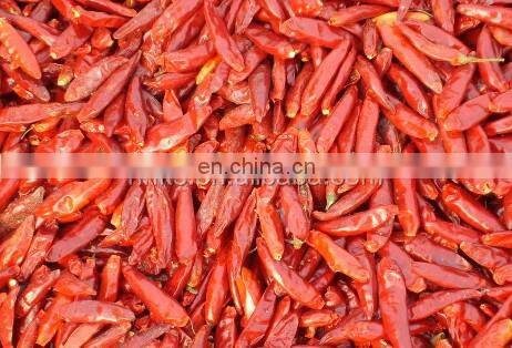 High efficient Commercial Chili Stem Cutting and removing Machine with dry and wet