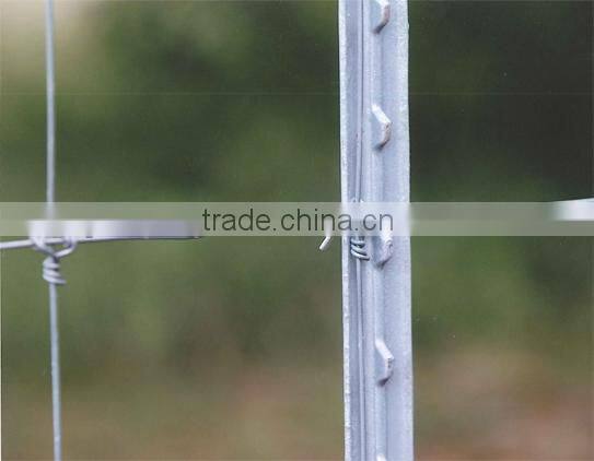Green paint steel studded t post for USA market