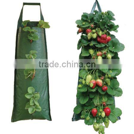 Recycled Pop -Up Strawberry Planter For Garden Planting