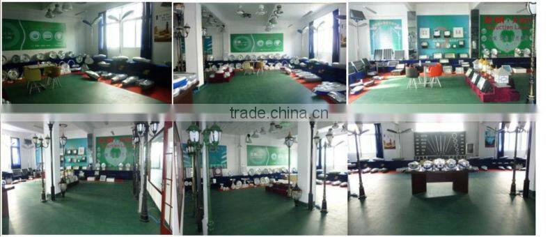 Perfect growth induction lamp 40w-300w