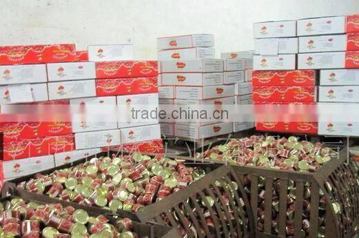 70g Canned Tomato Paste, Sachet Tomato Paste.Tomato Sauce, ketchup.