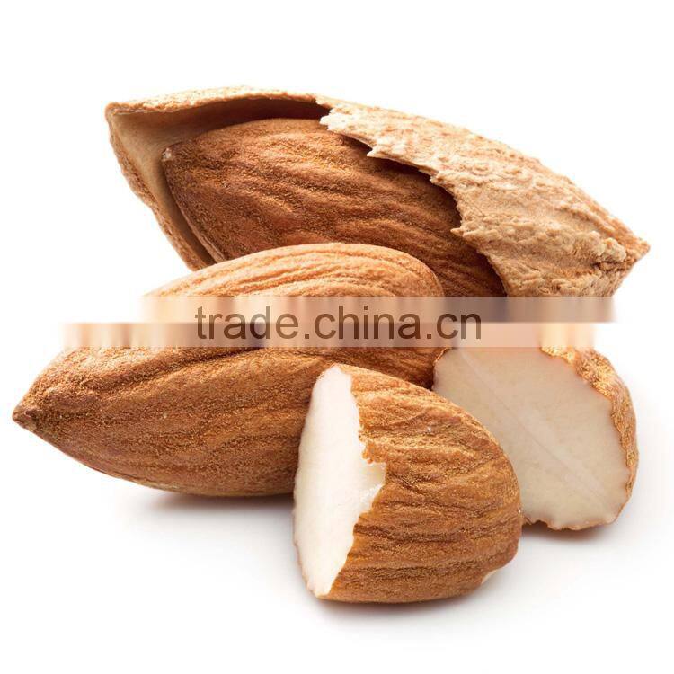 Bitter Almonds/ Almond nut/ Almonds kernel from China