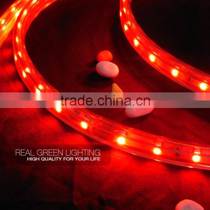 220 Volt 3528 SMD IP 65 Red LED Strip Lighting