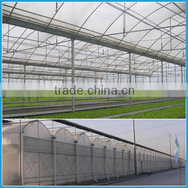 Factory price of agricultural greenhouse,multi span greenhouse for Tomato