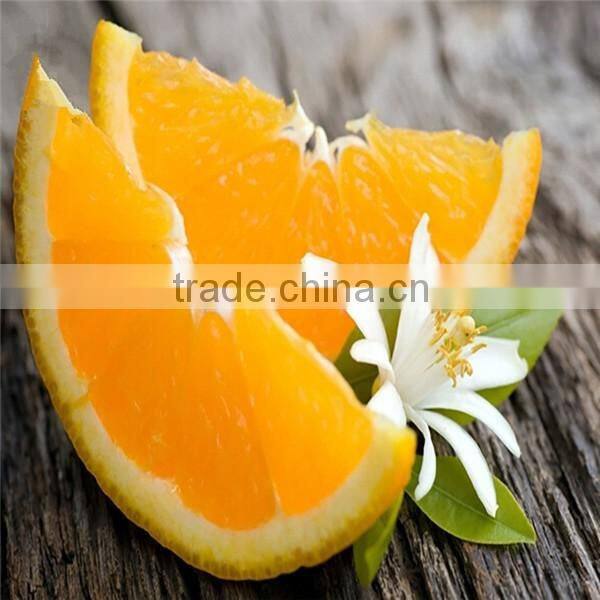 Factory Supply blood orange