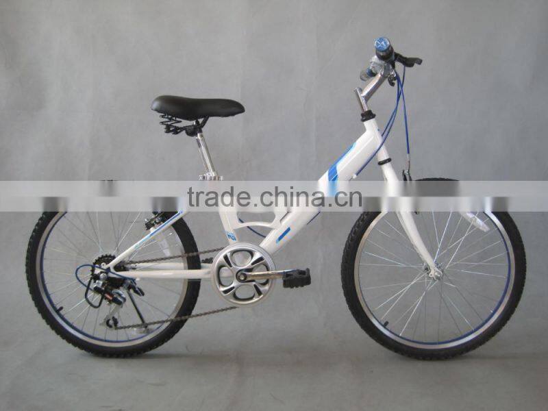 22 Inch Steel Mountain Bike 7 Speed