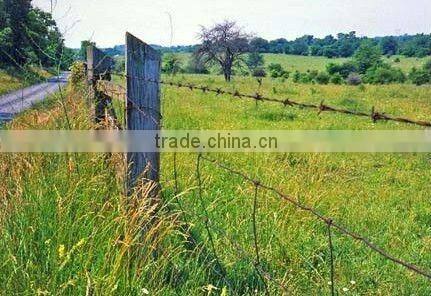 hot selling concertina razor barbed wire (manufacturer)