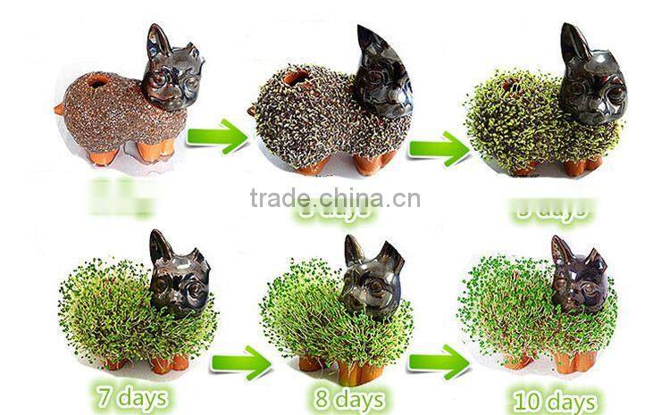 return gifts for birthday chia pet diwali gifts baby shower gifts