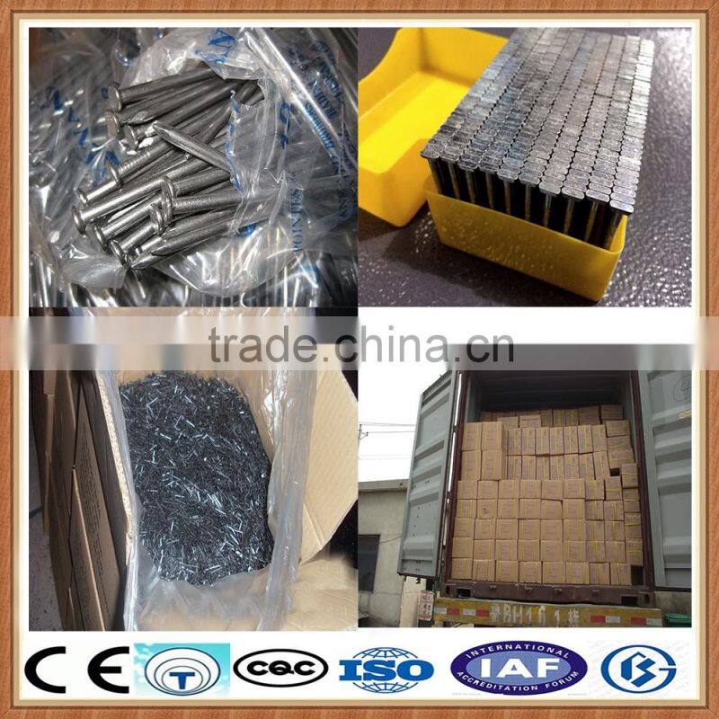 common roofing steel nail
