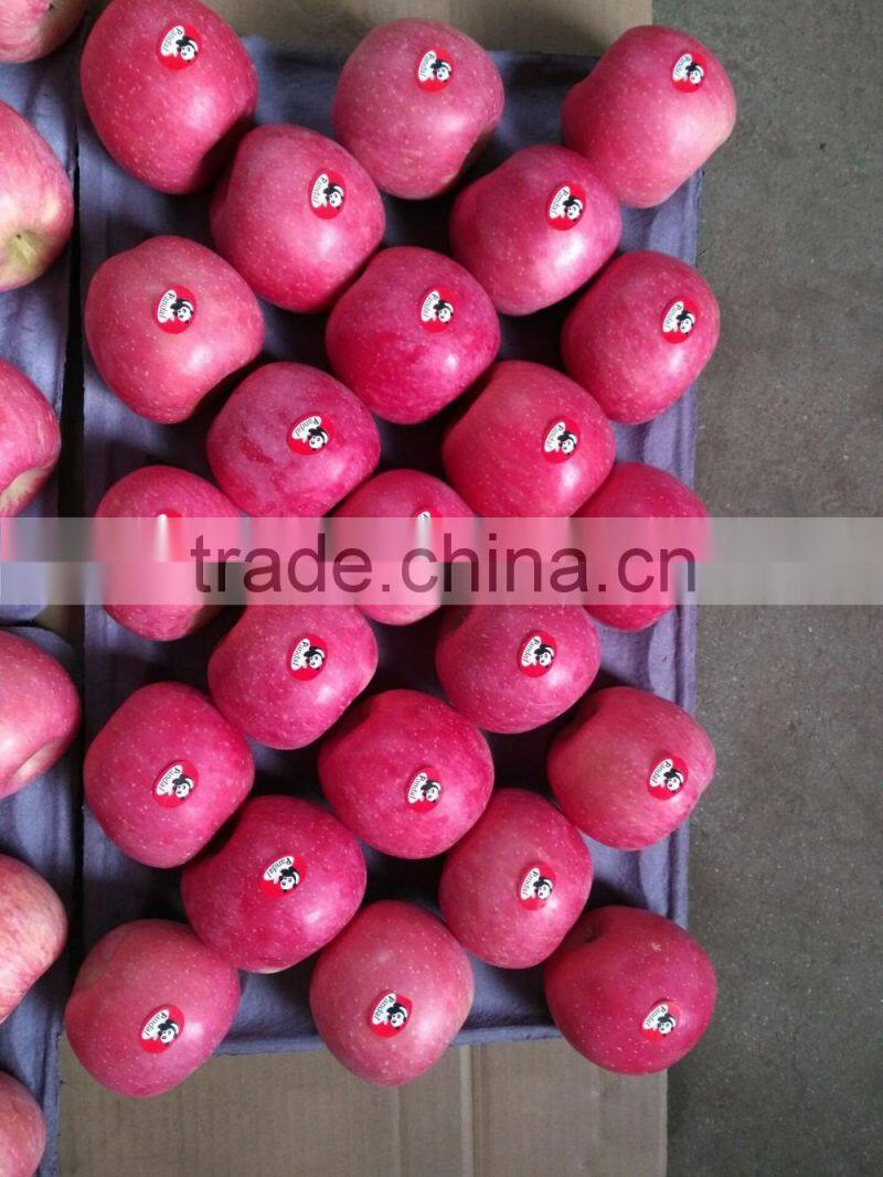 Fuji apples wholesale fruit prices