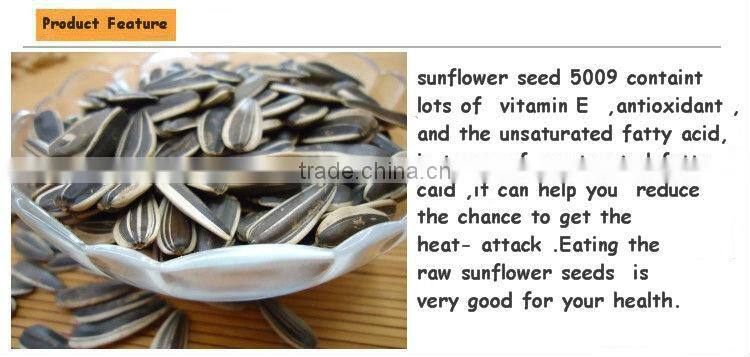 Supply High Quality 24/64 Sunflower Seeds