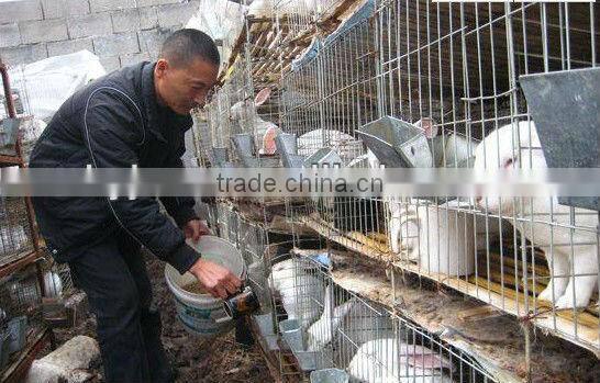 Animal Farm, Poultry Equipment