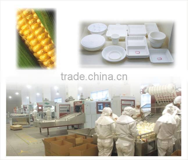 japan starch sheet extruder