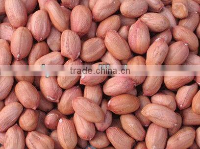 hot sale and durable peanut sheller /shelling machine