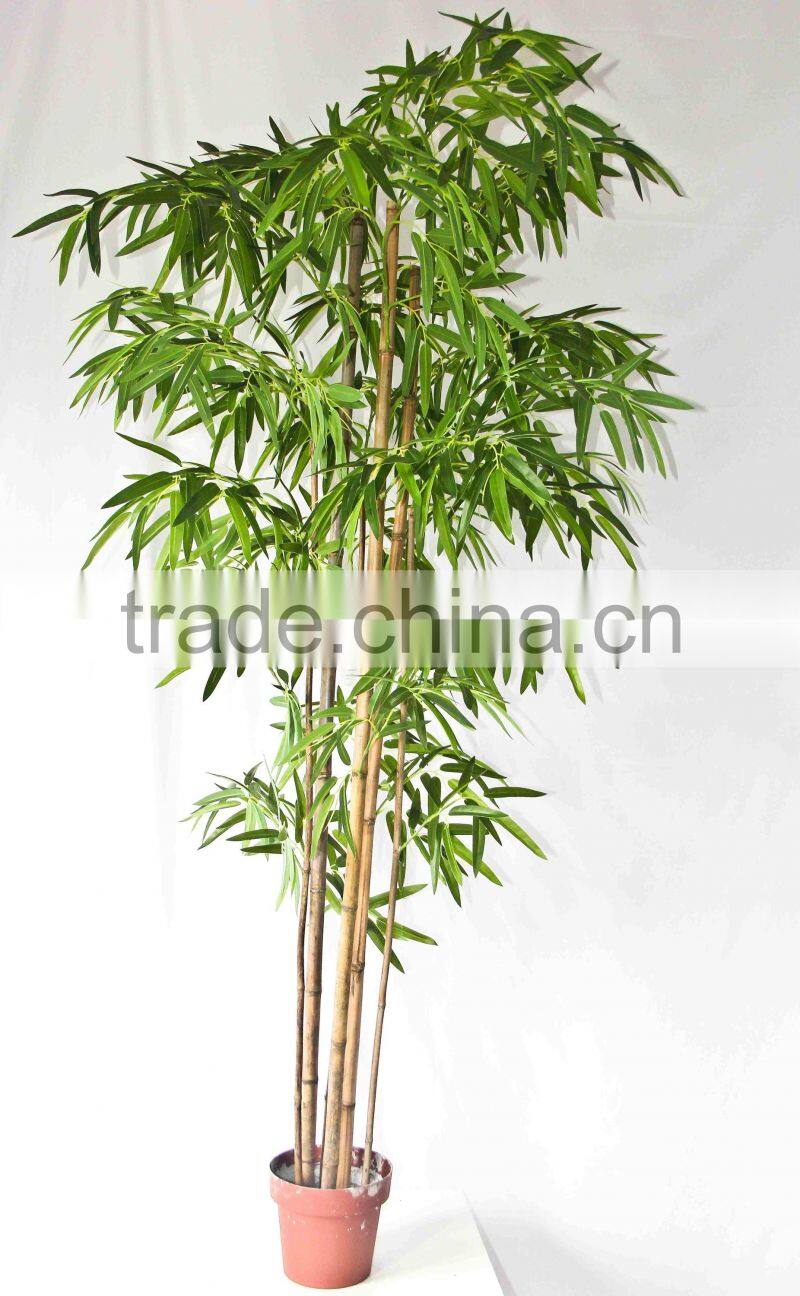 Office decorative green plants