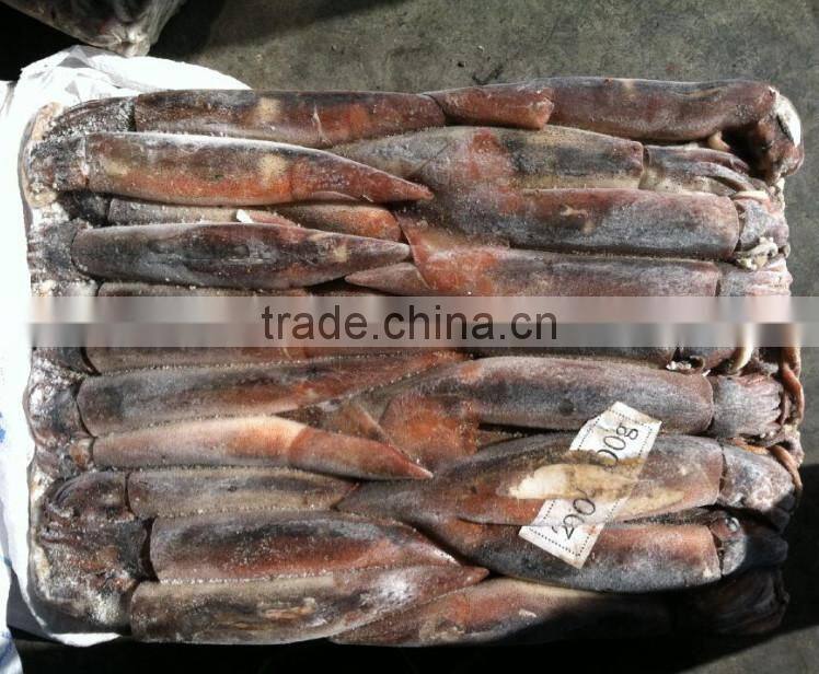200-300g Frozen Illex Squid