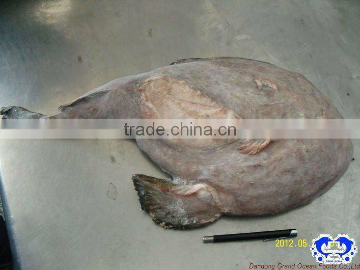 frozen monkfish seafood