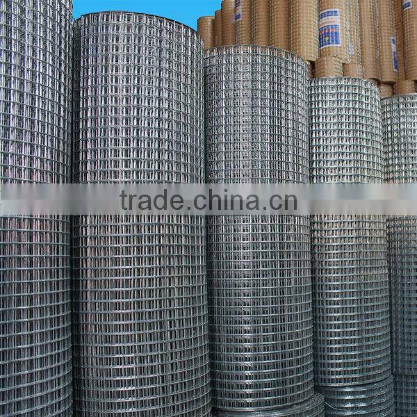 Galvanized Welded Wire Mesh from Guangzhou Supllier