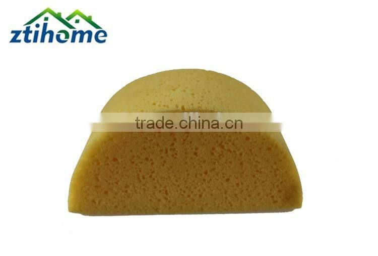 Turtleback Shape Washing Sponge for Car