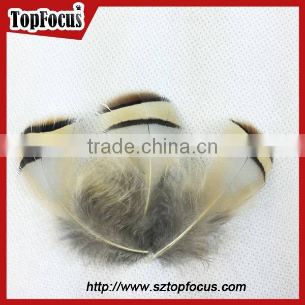 wholesale down pheasant Partridge Plumage Natural pheasant feathers prices