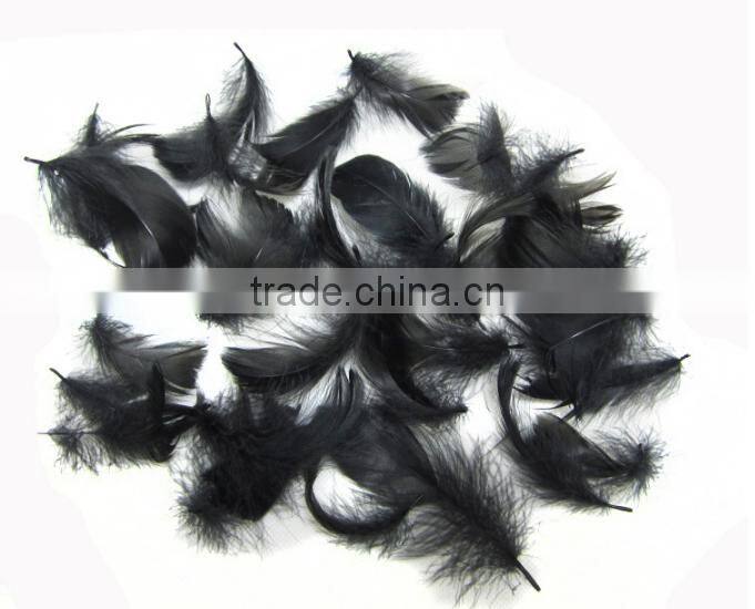 Wholesale multicolor decotation goose feather for party and wedding,5-8cm import from China