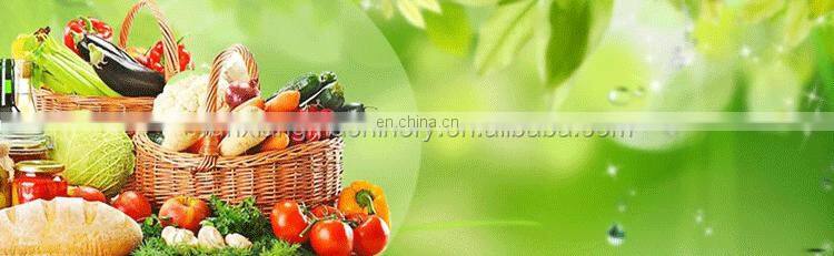 Easy Clean SUS304 Industrial Spray Air Bubble Rotary Vegetable Washer Fruit Washing Machine