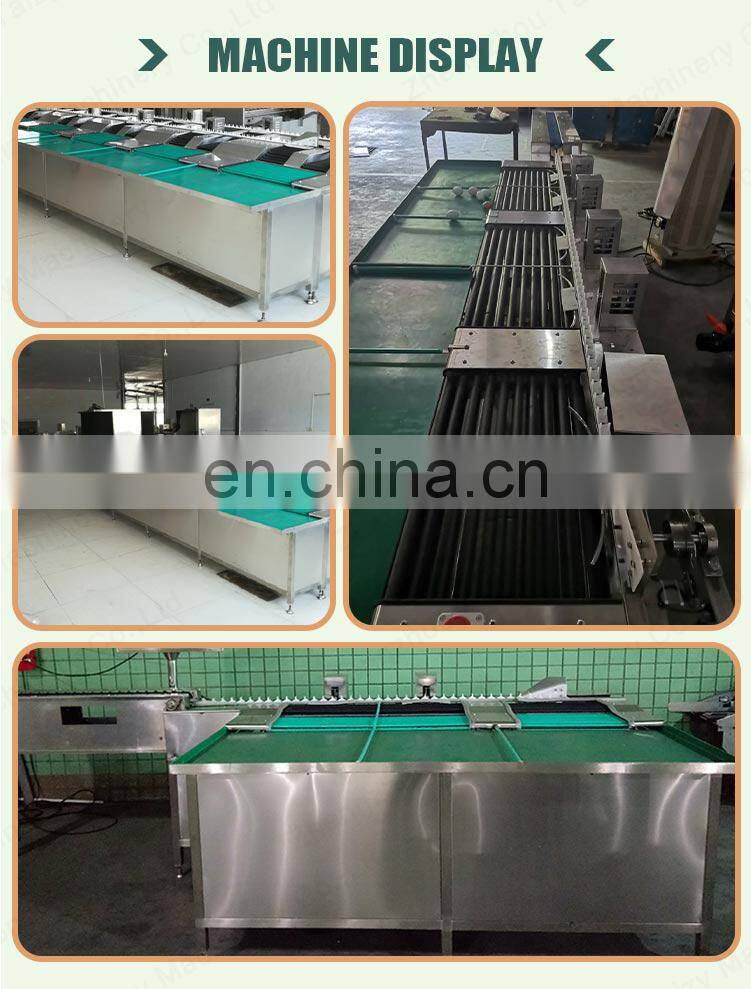 Industrial egg sorting machine candling grader