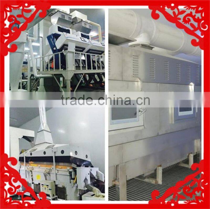 Broken Sunflower Kernel for Bird Feed animal feed