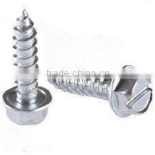 Self Tapping Screw