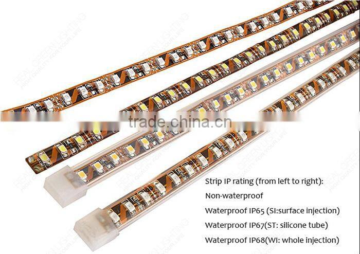 12V /24V Green SMD 5050 Waterproof Garden Decoration Cuttable LED Strip Light