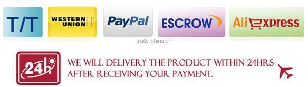 Roland TrueVIS VG640 printer and cutter with Ricoh head