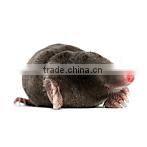 Talpex Type Metal Scissor Mole Killer HDMT01