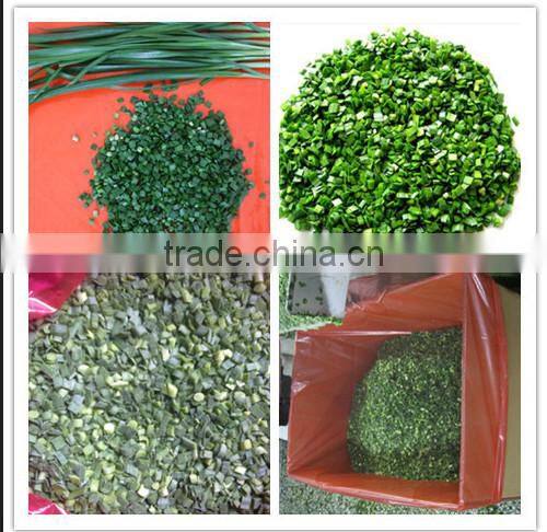 Best Selling of IQF LEEK export to Europ