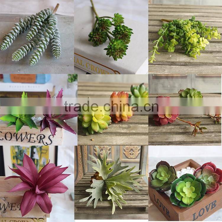 Wedding Birthday Gifts Green Succulent Jewelry Necklace Pendant Wholesale Faux fake artificial cactus plants