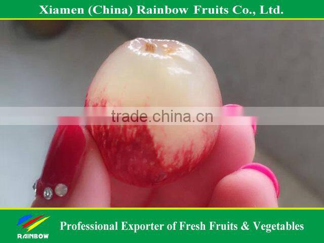 Nasik grapes from Yunnan & Xinjiang area Red globe grape fresh fruit Red grape from China import export companies pune