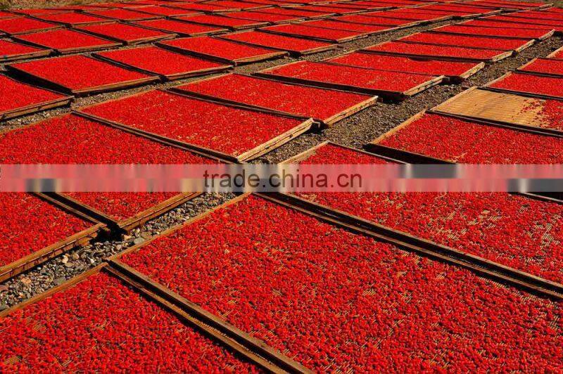 GMP certified organic goji berry all sizes