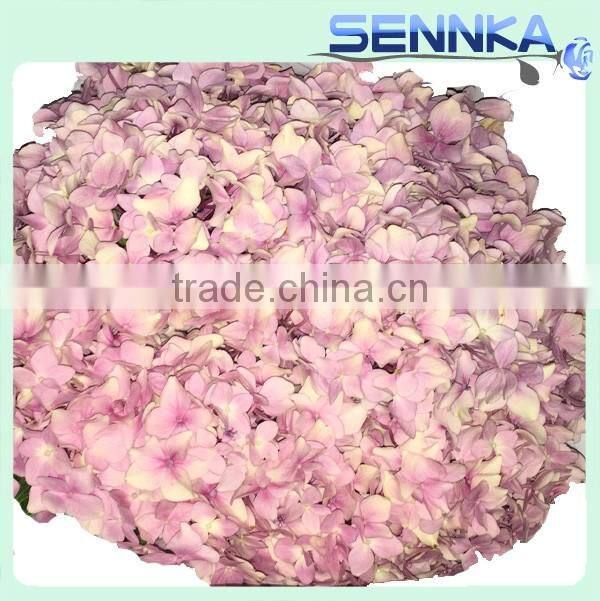 Wholesale China Merchandise artificial hydrangea fresh cut flower ball for decoration