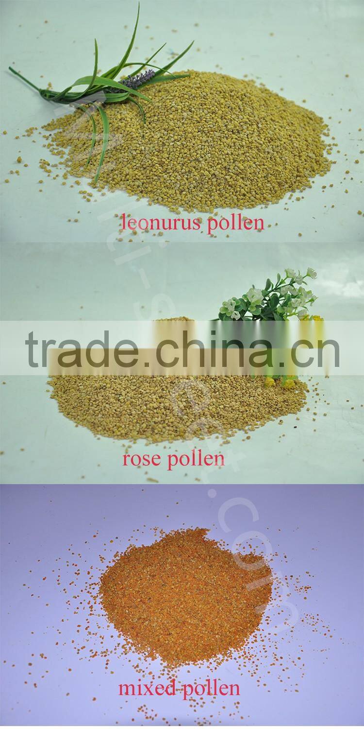 Wholesale bee bread bulk bee pollen powder with best price