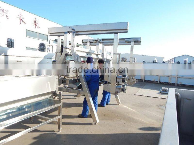 Vertical plucking machine for duck slaughtering line for sale