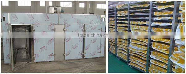 Good quality factory cheap sale banana drying machine(Mob:0086-15503713506)