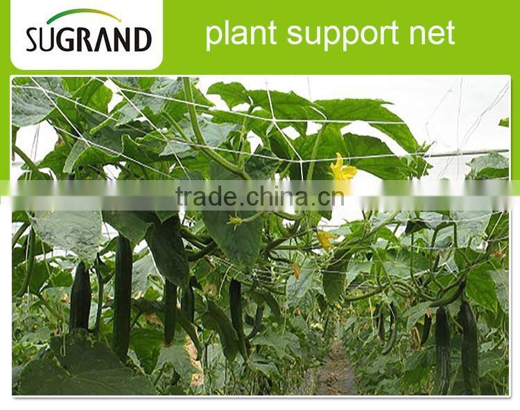Plastic Nylon Suqare Plant Support Net