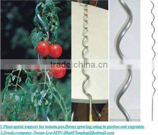 tomato spiral planter