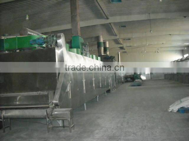 Industrial Vegetable and fruit carrot dryer