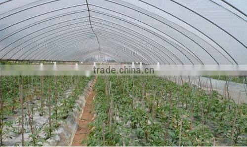 Single span greenhouse film for Seeding nursery